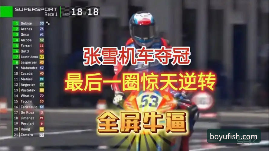 深度揭秘：匈牙利赛道上演惊天逆转，中国车队背后还有你不知道的事